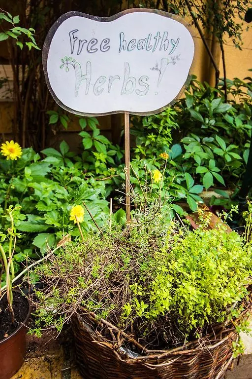 Vienna Hostel Ruthensteiner